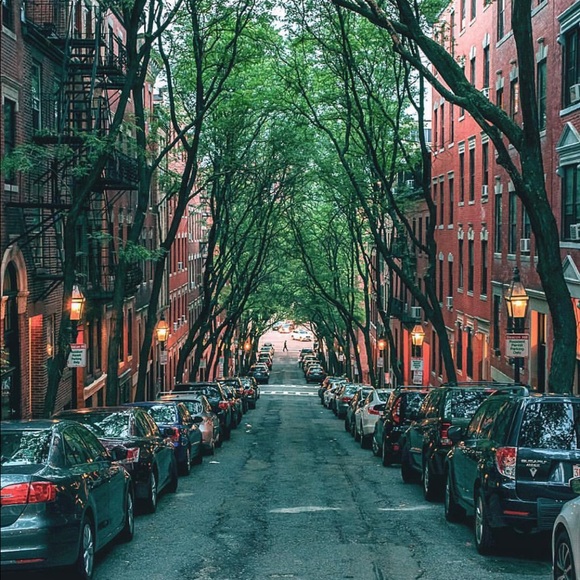 Meet your Posher, Ryan - Picture 1 of 1